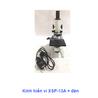 Kính hiển vi XPS 13A + đèn